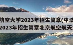 中法航空大学2023年招生简章(中法航空大学2023年招生简章北京航空航天大学)