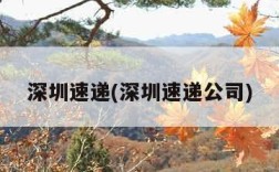 深圳速递(深圳速递公司)