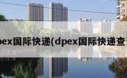 dpex国际快递(dpex国际快递查询)