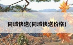 同城快送(同城快送价格)