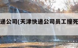 天津快递公司(天津快递公司员工撞死人赔偿)