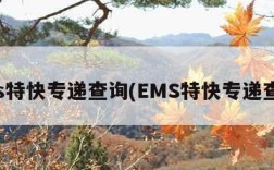 ems特快专递查询(EMS特快专递查询)