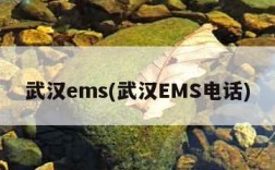 武汉ems(武汉EMS电话)