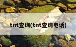 tnt查询(tnt查询电话)