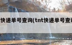 tnt快递单号查询(tnt快递单号查询官网)