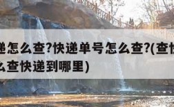 查快递怎么查?快递单号怎么查?(查快递单号怎么查快递到哪里)