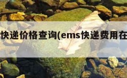 ems快递价格查询(ems快递费用在线查询)