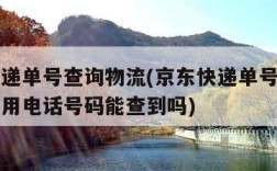 京东快递单号查询物流(京东快递单号查询物流信息用电话号码能查到吗)