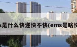 ems是什么快递快不快(ems是啥快递)