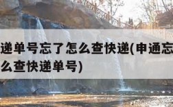 申通快递单号忘了怎么查快递(申通忘记快递单号怎么查快递单号)