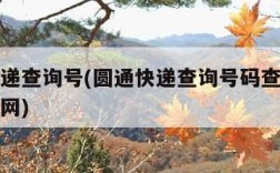 圆通快递查询号(圆通快递查询号码查询物流单号官网)