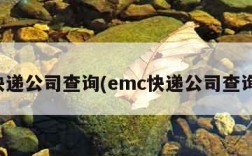 快递公司查询(emc快递公司查询)