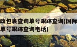 国际邮政包裹查询单号跟踪查询(国际邮政包裹查询单号跟踪查询电话)