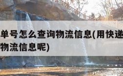 用快递单号怎么查询物流信息(用快递单号怎么查询物流信息呢)