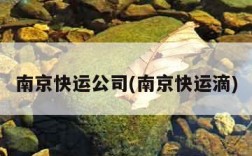 南京快运公司(南京快运滴)