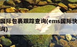 ems国际包裹跟踪查询(ems国际快递包裹查询)