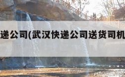 武汉快递公司(武汉快递公司送货司机工资多少)