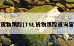 tsl货物跟踪(TSL货物跟踪查询官网)